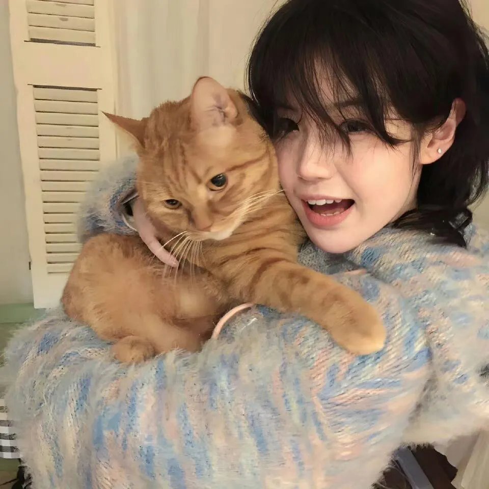 不做替身后和前任她姐结婚了